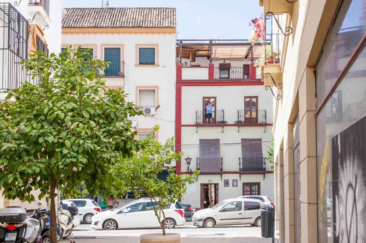 Alohamundi Castilla II Sevilla Dış mekan fotoğraf